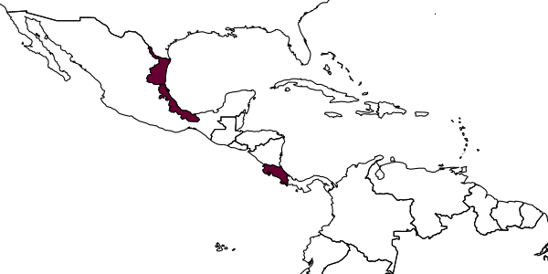 map of Messatoporus mesosternalis     Kasparyan & Ruíz, 2005